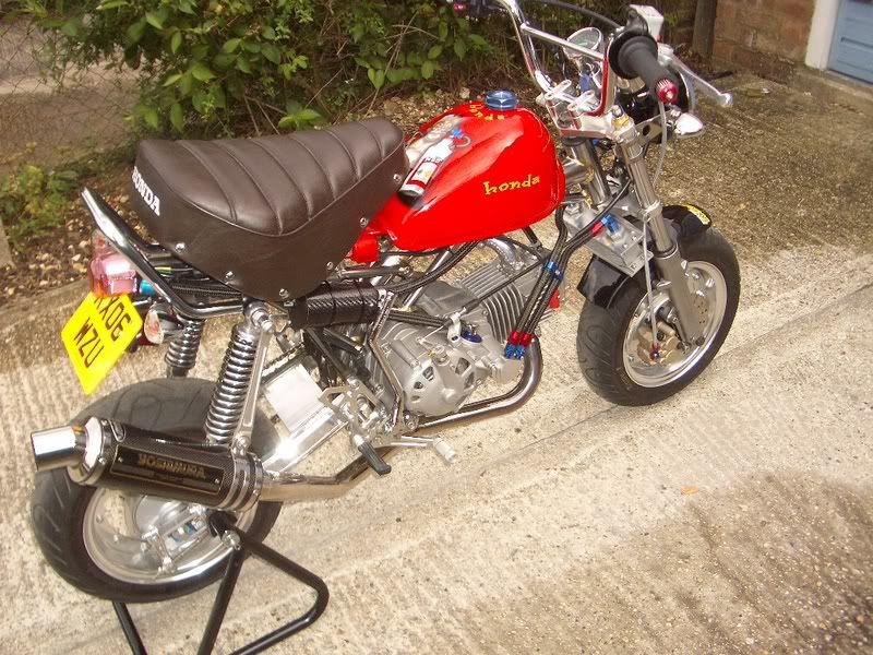 IMAGE: http://i30.photobucket.com/albums/c302/vmlopes/IMGP2742.jpg