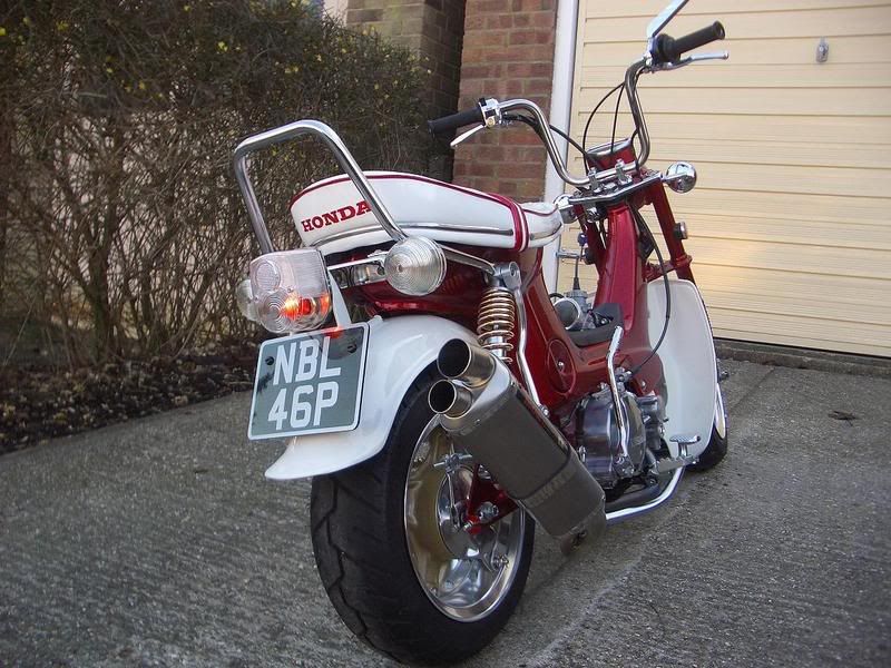 IMAGE: http://i30.photobucket.com/albums/c302/vmlopes/IMGP3716.jpg