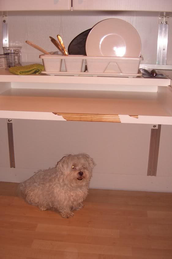 Image hosted by Photobucket.com