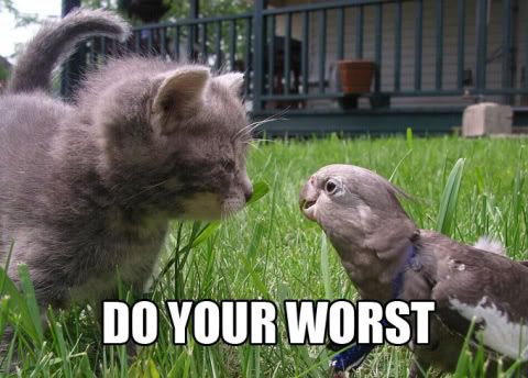 do your worst Pictures, Images and Photos