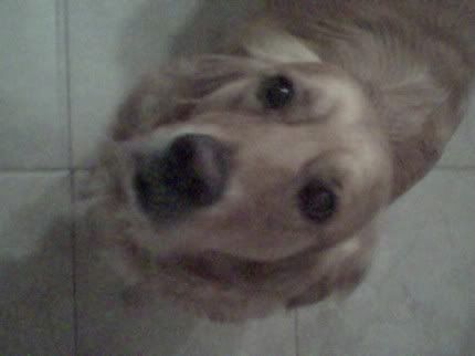 Image hosting by Photobucket