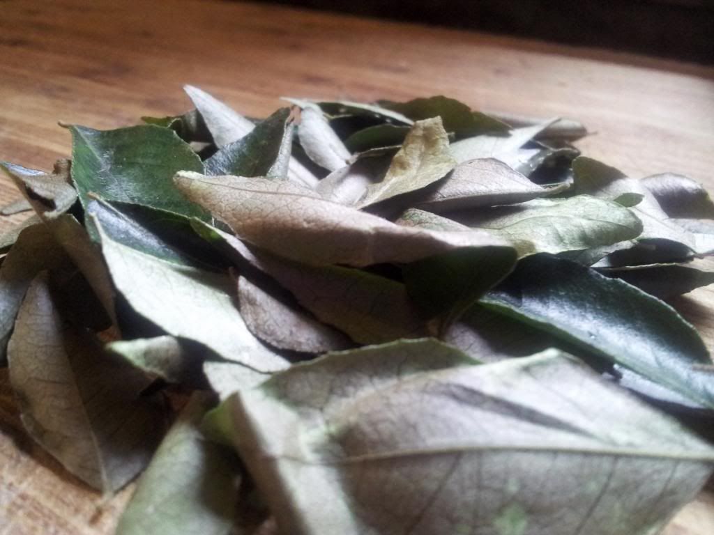 curryleaves_zps6f22a8fe.jpg