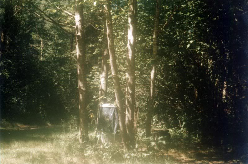 kodak35rf3.jpg