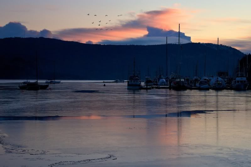 IMAGE: http://i30.photobucket.com/albums/c307/hawaiibg/2012/Jan%202012/file-29.jpg