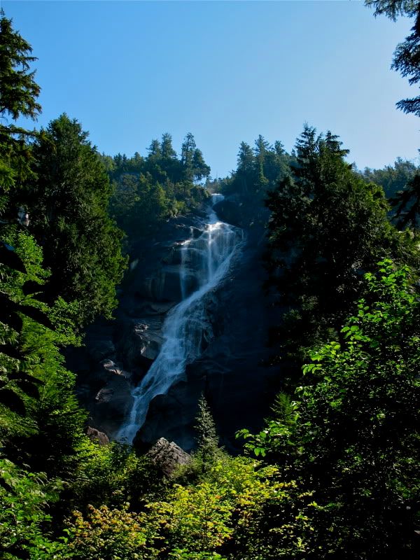 IMAGE: http://i30.photobucket.com/albums/c307/hawaiibg/IMG_0137.jpg