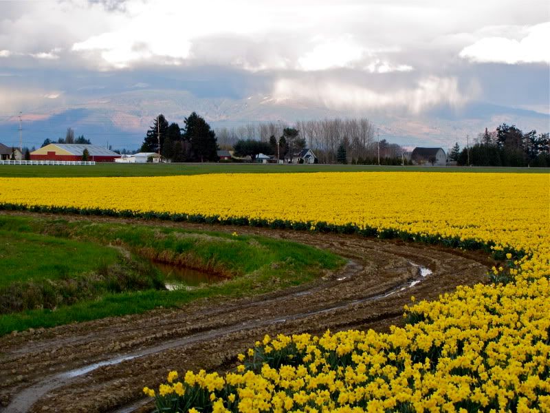 IMAGE: http://i30.photobucket.com/albums/c307/hawaiibg/March%202010/IMG_0290.jpg