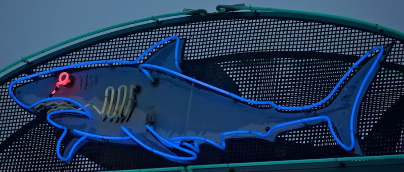 IMAGE: http://i30.photobucket.com/albums/c307/hawaiibg/Neon/file-162.jpg