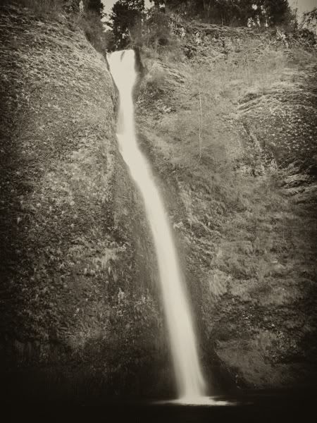 IMAGE: http://i30.photobucket.com/albums/c307/hawaiibg/Portland%202010/file-74.jpg