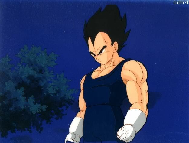 vegeta.jpg