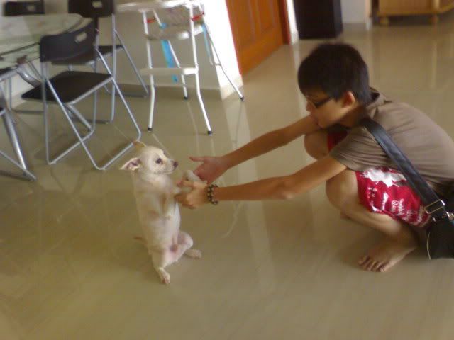 Photobucket - Video and Image Hosting