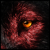 [avatar]