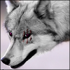 [avatar]