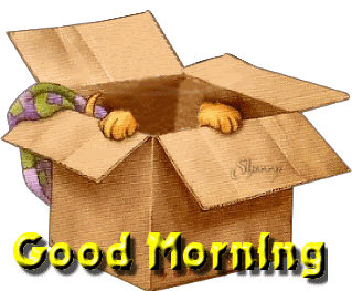 morning2520puppy2520in2520box.gif