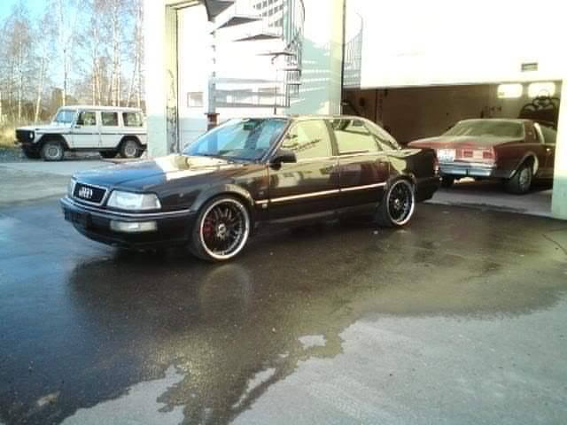 Audiv8.jpg?t=1257785807