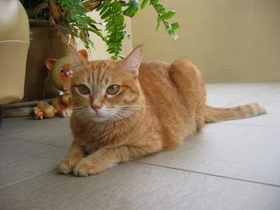 100-0013_IMG.jpg