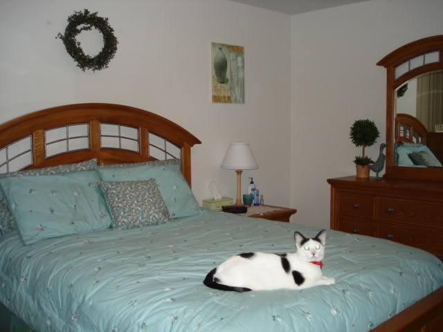 NewBedroom006.jpg