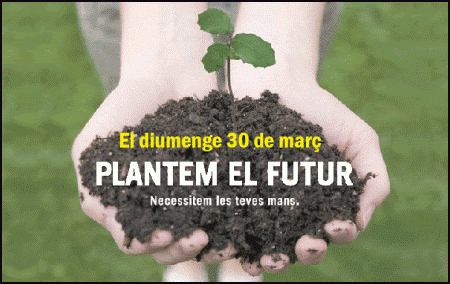 Plantem el futur