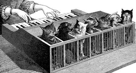 catpiano.jpg