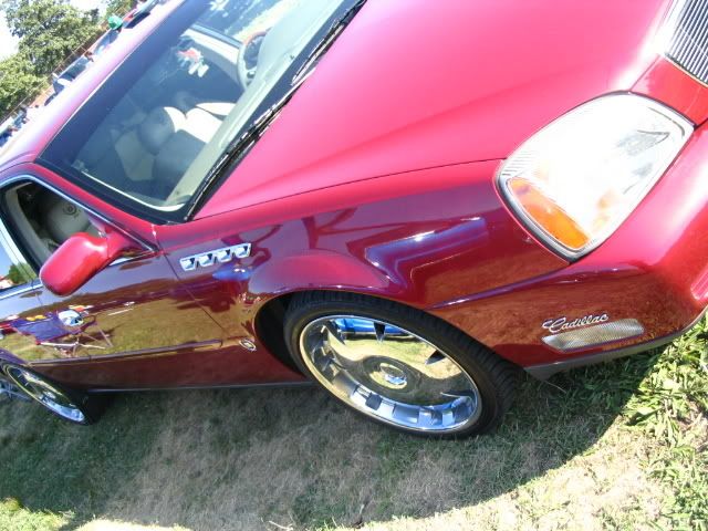 Posted Image