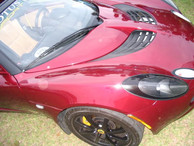 Posted Image