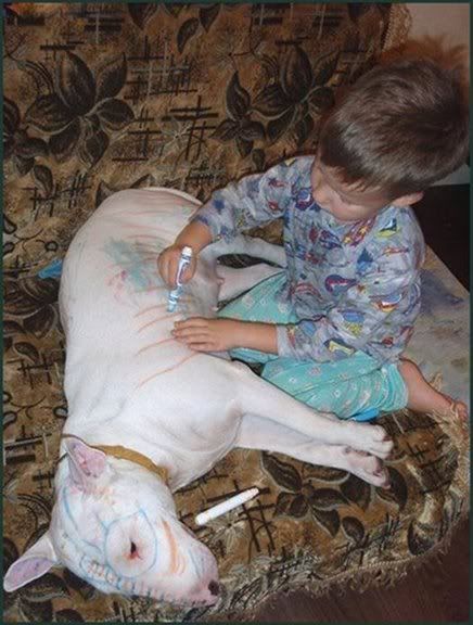 Warning - Dangerous Dog Breeds and Children Warning - Dangerous Dog Breeds and Children