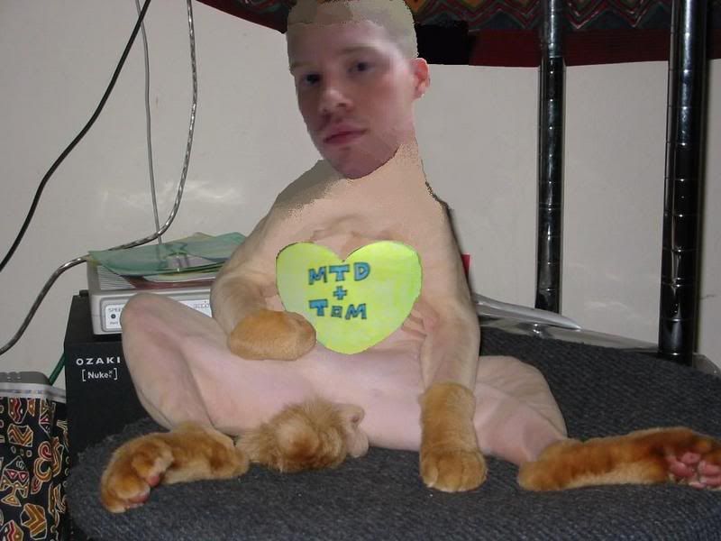 shaved20cat-1.jpg