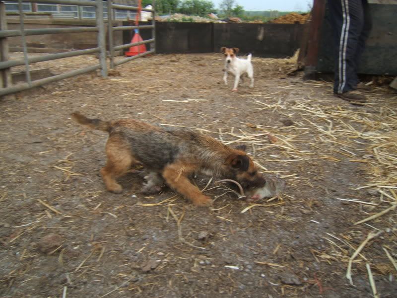 DSCF0314.jpg