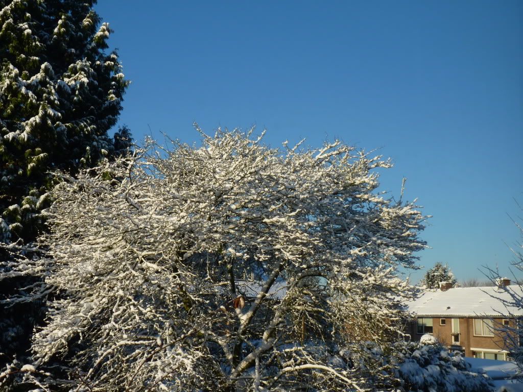 P1000789.jpg
