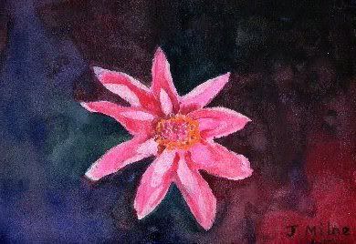 Pink20dahlia.jpg