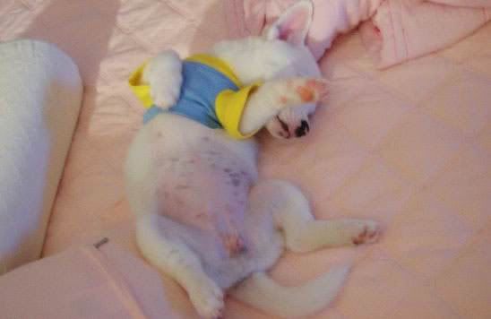 deepsleep4.jpg
