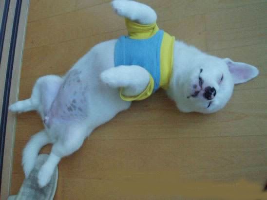 deepsleep6.jpg