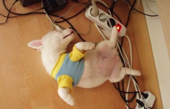deepsleep7.jpg