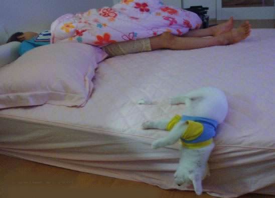deepsleep8.jpg