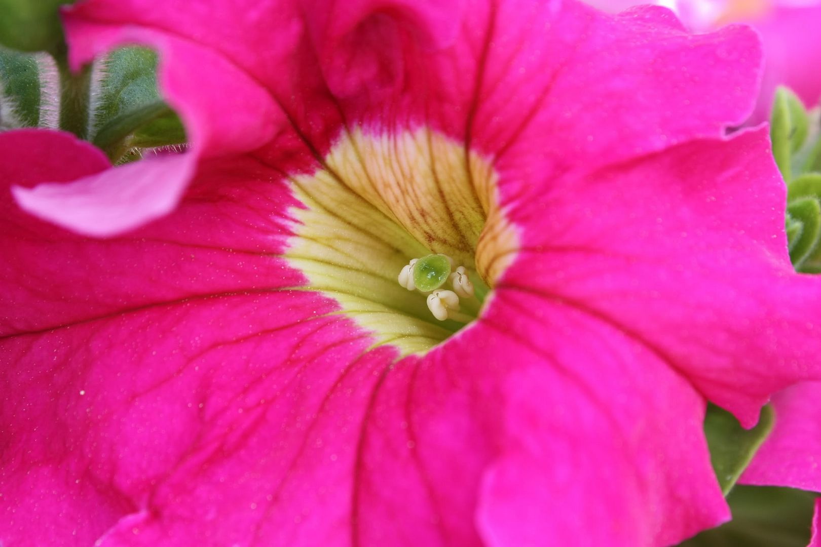 Posted Image