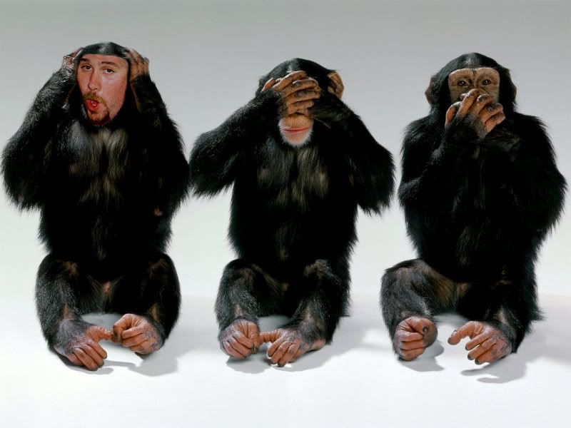 84Monkeys.jpg