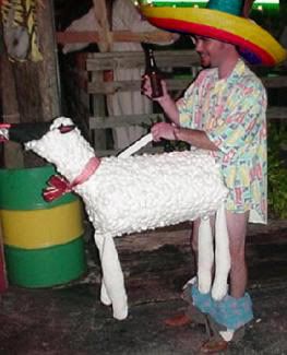 Sheep.jpg