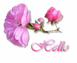hello Pictures, Images and Photos
