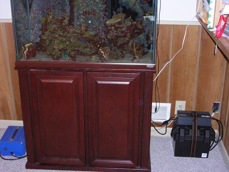 Battery Backup Pictorial... The Reef Tank
