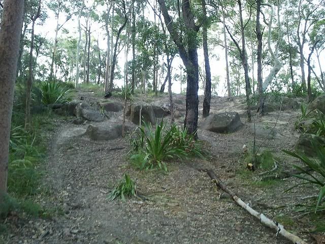 2012-03-13172415.jpg