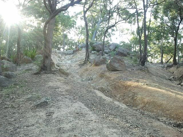 2012-03-13173001.jpg