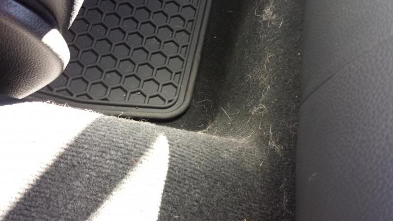 20140412_102314.jpg