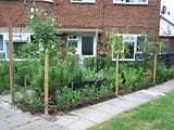th_GardenJune2010010.jpg