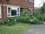 th_GardenJune2010011.jpg