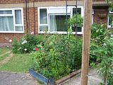 th_GardenJune2010012.jpg