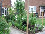 th_GardenJune2010013.jpg