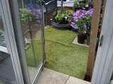 th_GardenMay2010005.jpg