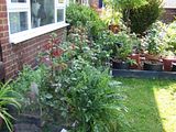 th_GardenMay2010010.jpg