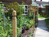th_GardenMay2010014.jpg