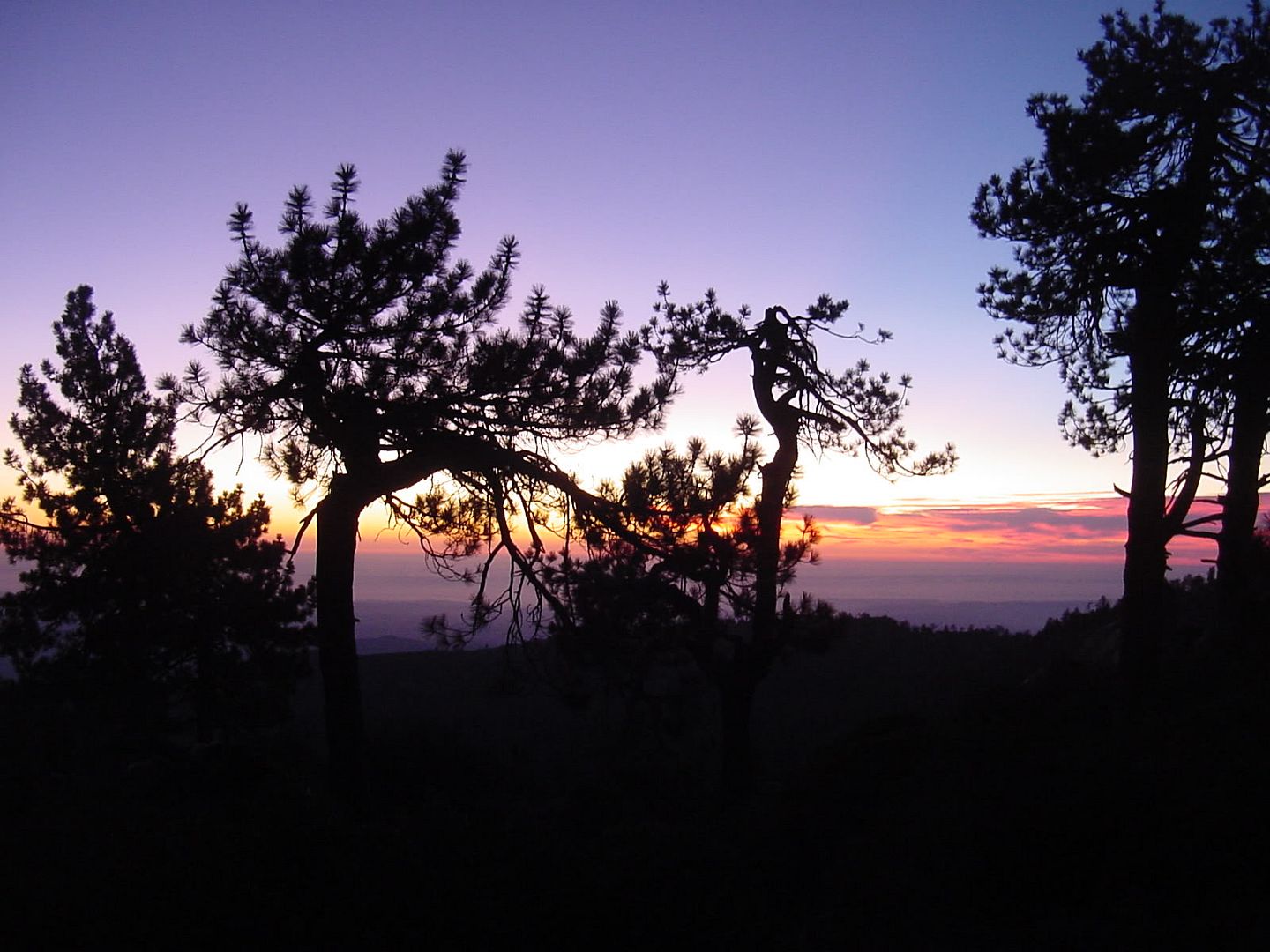 DSC02864.jpg