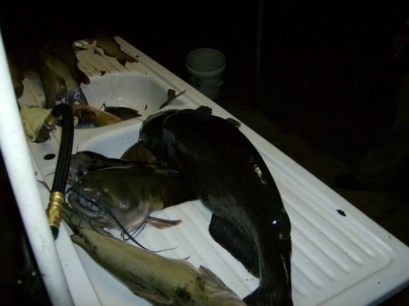 StumpyAndheycodsfish003.jpg